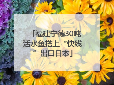福建宁德30吨活水鱼搭上“快线”出口日本
