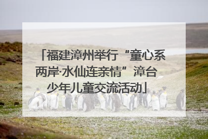 福建漳州举行“童心系两岸·水仙连亲情”漳台少年儿童交流活动