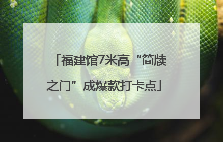 福建馆7米高“简牍之门”成爆款打卡点