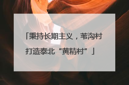 秉持长期主义，苇沟村打造泰北“黄精村”