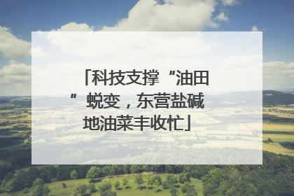 科技支撑“油田”蜕变，东营盐碱地油菜丰收忙