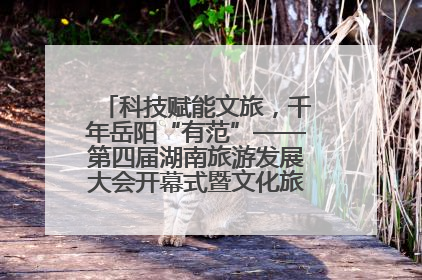 科技赋能文旅，千年岳阳“有范”——第四届湖南旅游发展大会开幕式暨文化旅游推介会侧记
