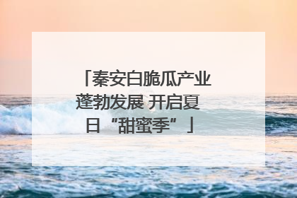 秦安白脆瓜产业蓬勃发展 开启夏日“甜蜜季”