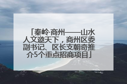 秦岭·商州——山水人文邀天下，商州区委副书记、区长支朝奇推介5个重点招商项目
