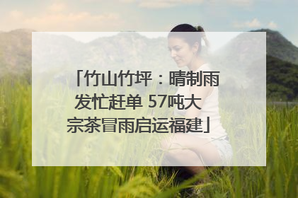 竹山竹坪：晴制雨发忙赶单 57吨大宗茶冒雨启运福建
