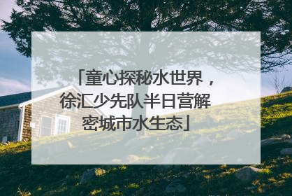 童心探秘水世界，徐汇少先队半日营解密城市水生态