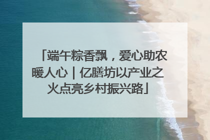 端午粽香飘，爱心助农暖人心｜亿膳坊以产业之火点亮乡村振兴路