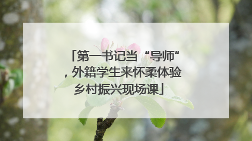 第一书记当“导师”，外籍学生来怀柔体验乡村振兴现场课