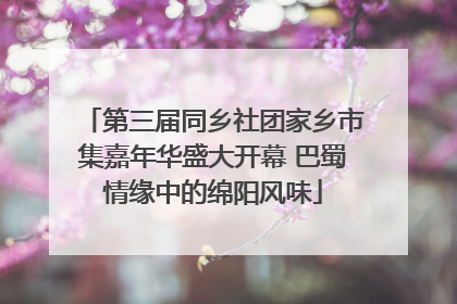 第三届同乡社团家乡市集嘉年华盛大开幕 巴蜀情缘中的绵阳风味
