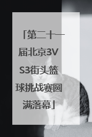 第二十一届北京3VS3街头篮球挑战赛圆满落幕