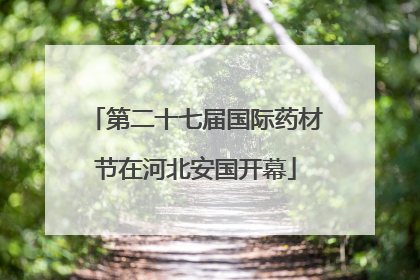 第二十七届国际药材节在河北安国开幕