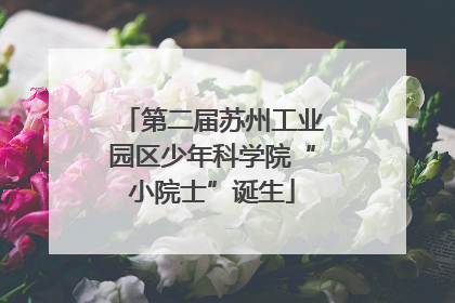 第二届苏州工业园区少年科学院“小院士”诞生