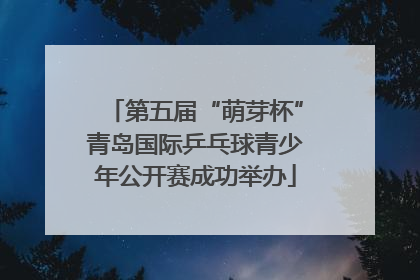 第五届“萌芽杯”青岛国际乒乓球青少年公开赛成功举办