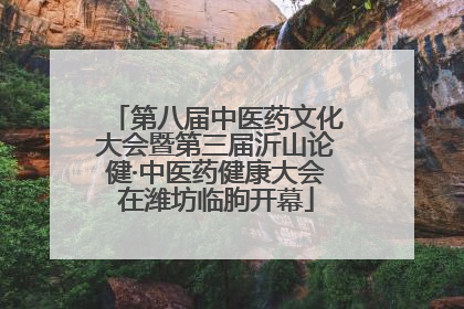第八届中医药文化大会暨第三届沂山论健·中医药健康大会在潍坊临朐开幕