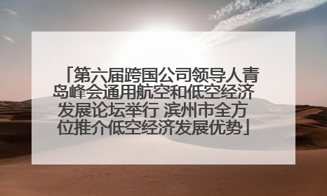 第六届跨国公司领导人青岛峰会通用航空和低空经济发展论坛举行 滨州市全方位推介低空经济发展优势
