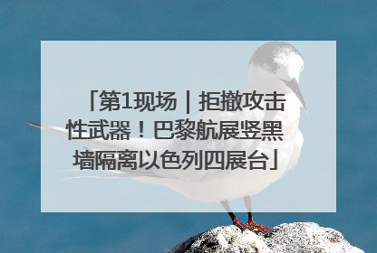 第1现场｜拒撤攻击性武器！巴黎航展竖黑墙隔离以色列四展台