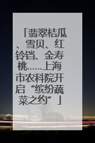翡翠桔瓜、雪贝、红铃铛、金寿桃……上海市农科院开启“缤纷蔬菜之约”