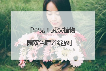 罕见！武汉植物园双色睡莲绽放