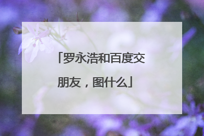 罗永浩和百度交朋友，图什么