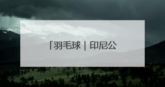 羽毛球｜印尼公开赛：程星/张驰混双首轮晋级