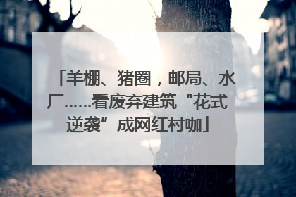 羊棚、猪圈，邮局、水厂……看废弃建筑“花式逆袭”成网红村咖