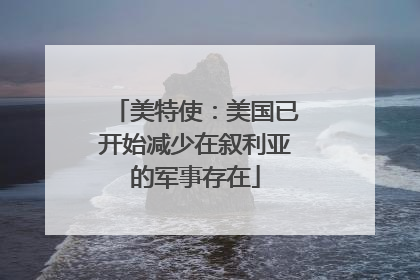 美特使：美国已开始减少在叙利亚的军事存在