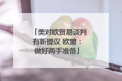美对欧贸易谈判有新提议 欧盟：做好两手准备