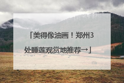 美得像油画！郑州3处睡莲观赏地推荐→