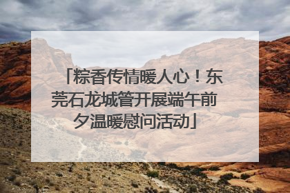 粽香传情暖人心！东莞石龙城管开展端午前夕温暖慰问活动