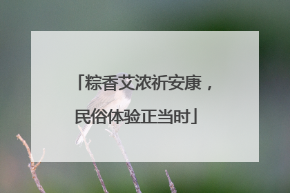 粽香艾浓祈安康，民俗体验正当时