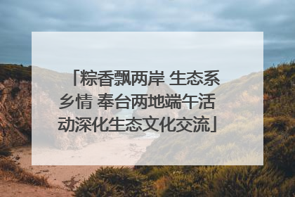 粽香飘两岸 生态系乡情 奉台两地端午活动深化生态文化交流