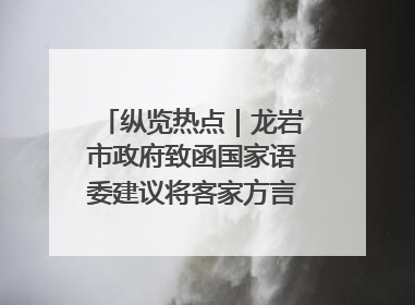 纵览热点｜龙岩市政府致函国家语委建议将客家方言“亻厓”字录入《新华字典》引发热议，当地回应