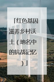 红色基因滋养乡村沃土（地名中的抗战记忆）
