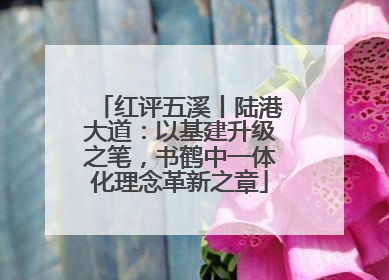 红评五溪丨陆港大道：以基建升级之笔，书鹤中一体化理念革新之章