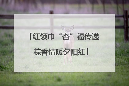 红领巾“杏”福传递 粽香情暖夕阳红
