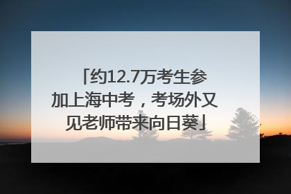 约12.7万考生参加上海中考，考场外又见老师带来向日葵