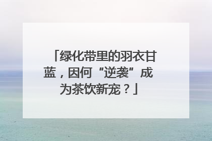 绿化带里的羽衣甘蓝，因何“逆袭”成为茶饮新宠？