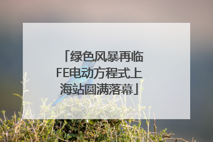 绿色风暴再临 FE电动方程式上海站圆满落幕