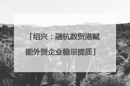 绍兴：融杭数贸港赋能外贸企业稳量提质
