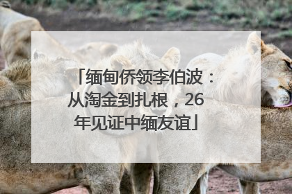 缅甸侨领李伯波：从淘金到扎根，26年见证中缅友谊