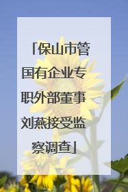 保山市管国有企业专职外部董事刘燕接受监察调查