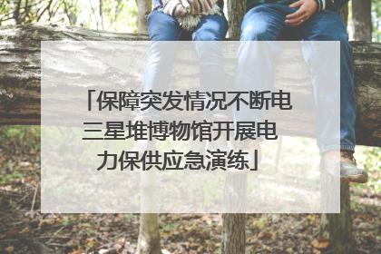 保障突发情况不断电 三星堆博物馆开展电力保供应急演练