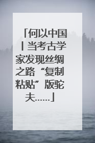 何以中国丨当考古学家发现丝绸之路“复制粘贴”版驼夫……