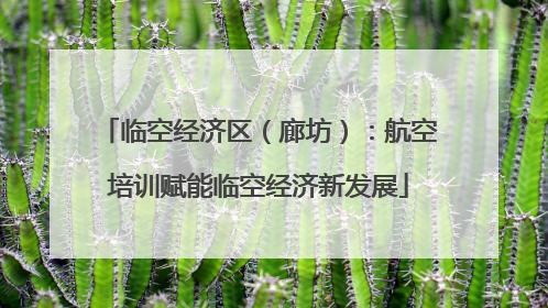 临空经济区（廊坊）：航空培训赋能临空经济新发展