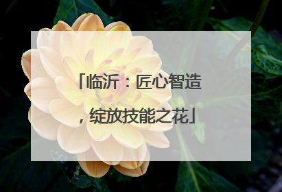 临沂：匠心智造，绽放技能之花