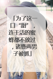 为了这一口“甜”，连干活的蜜蜂都不放过，诸暨两男子被抓