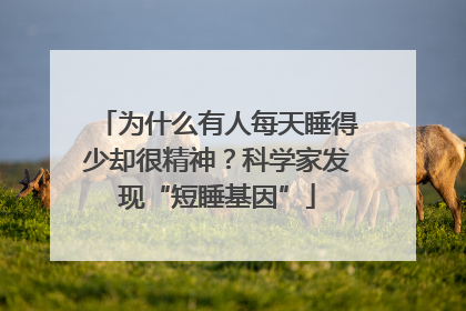 为什么有人每天睡得少却很精神？科学家发现“短睡基因”