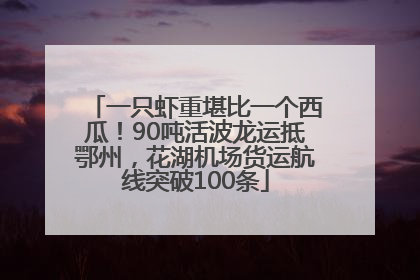 一只虾重堪比一个西瓜！90吨活波龙运抵鄂州，花湖机场货运航线突破100条