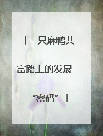 一只麻鸭共富路上的发展“密码”