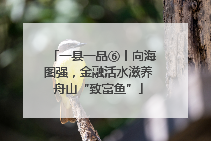 一县一品⑥丨向海图强，金融活水滋养舟山“致富鱼”